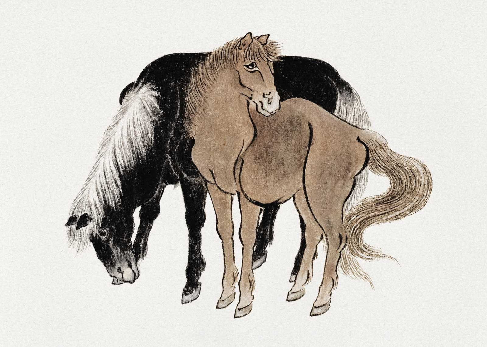 Elegant Horse Pair Fine Art Wall Art