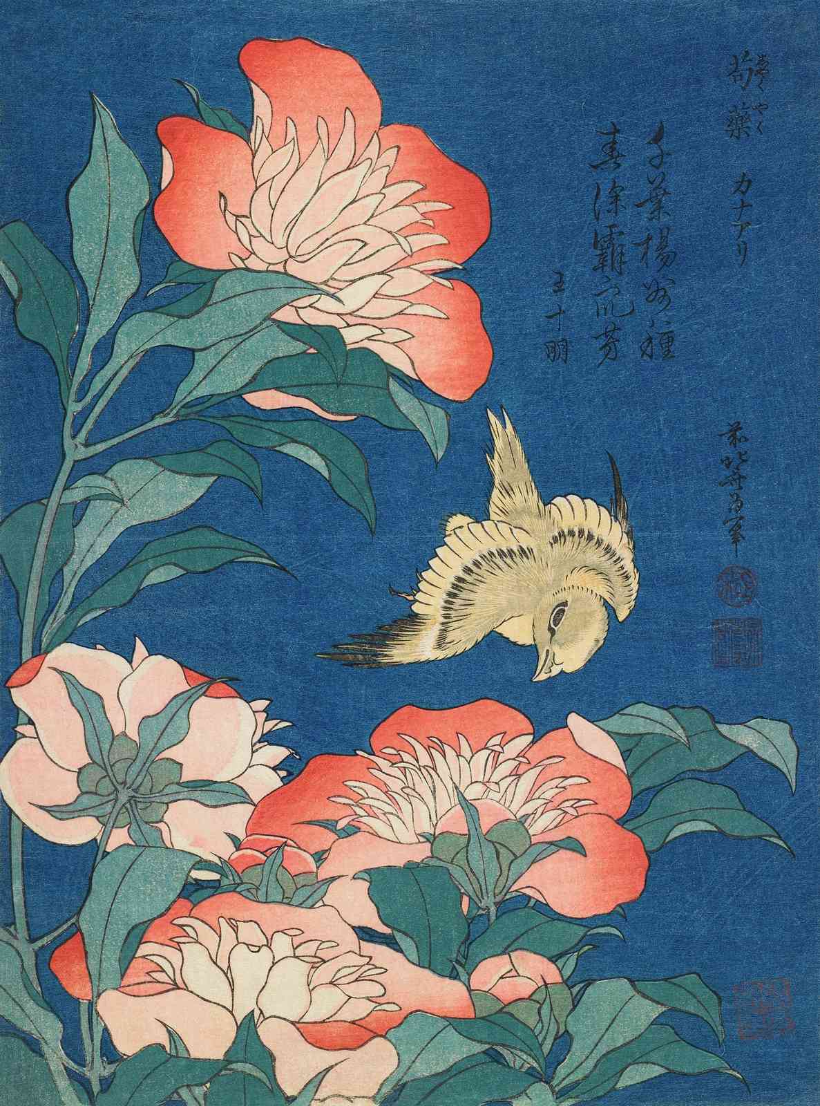 Japanese Peony & Bird Wall Art Wall Art
