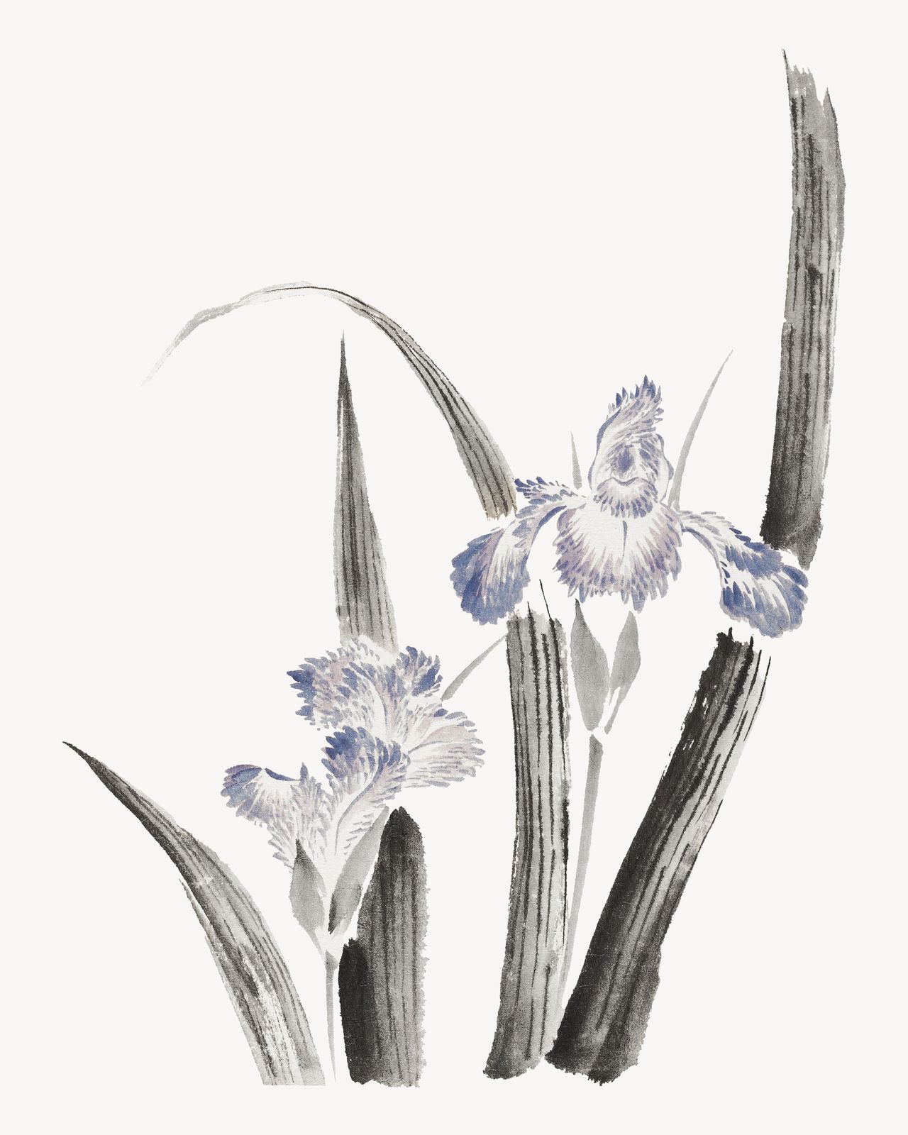 Serene Iris Blossom Wall Art - Zen Art