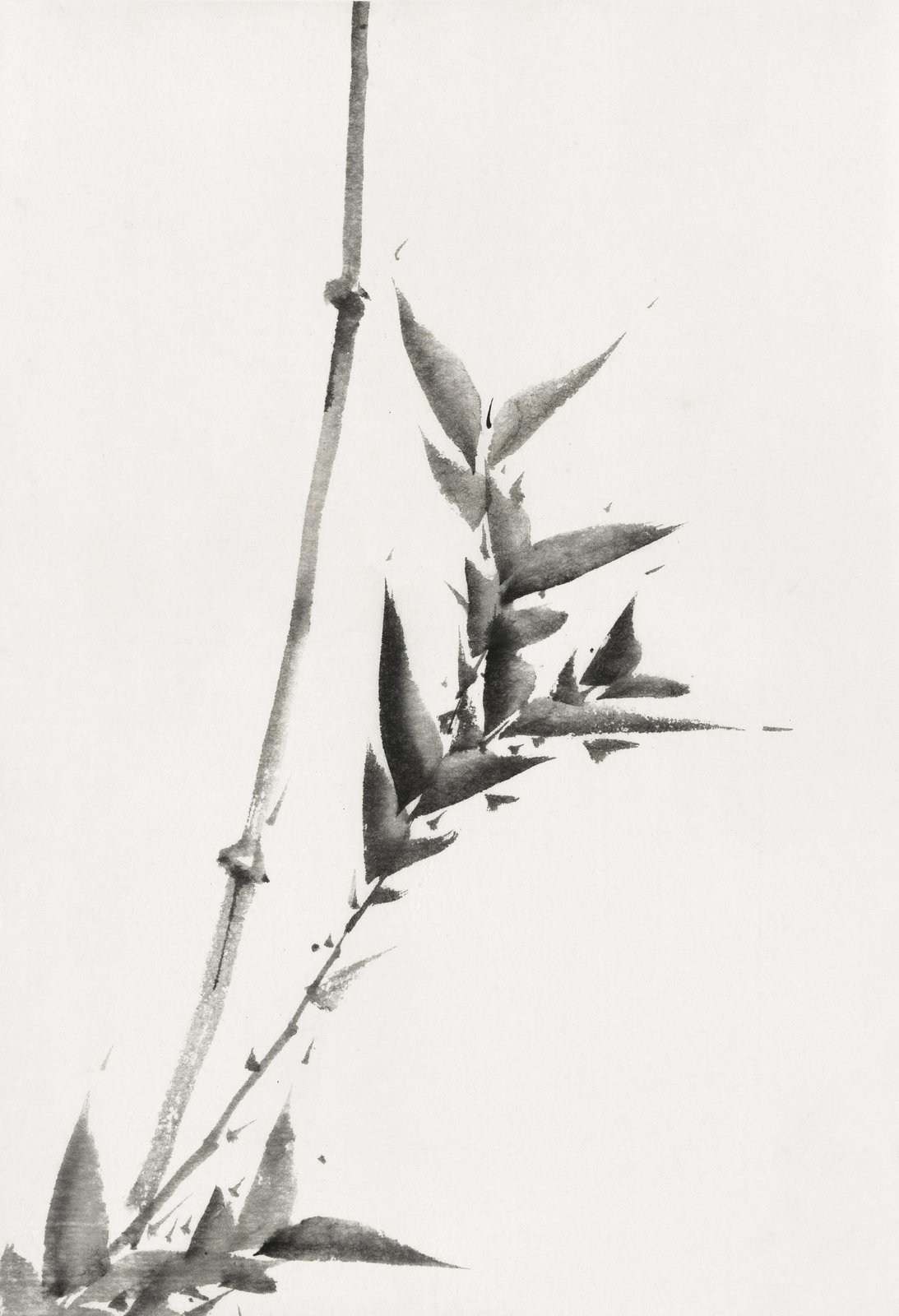 Zen Bamboo Ink Brush Painting Wall Art