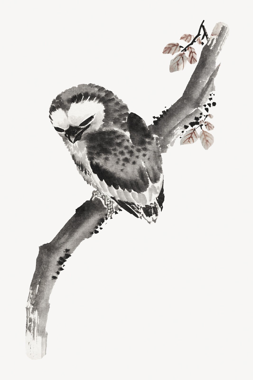 Zen Owl on Branch Wall Art