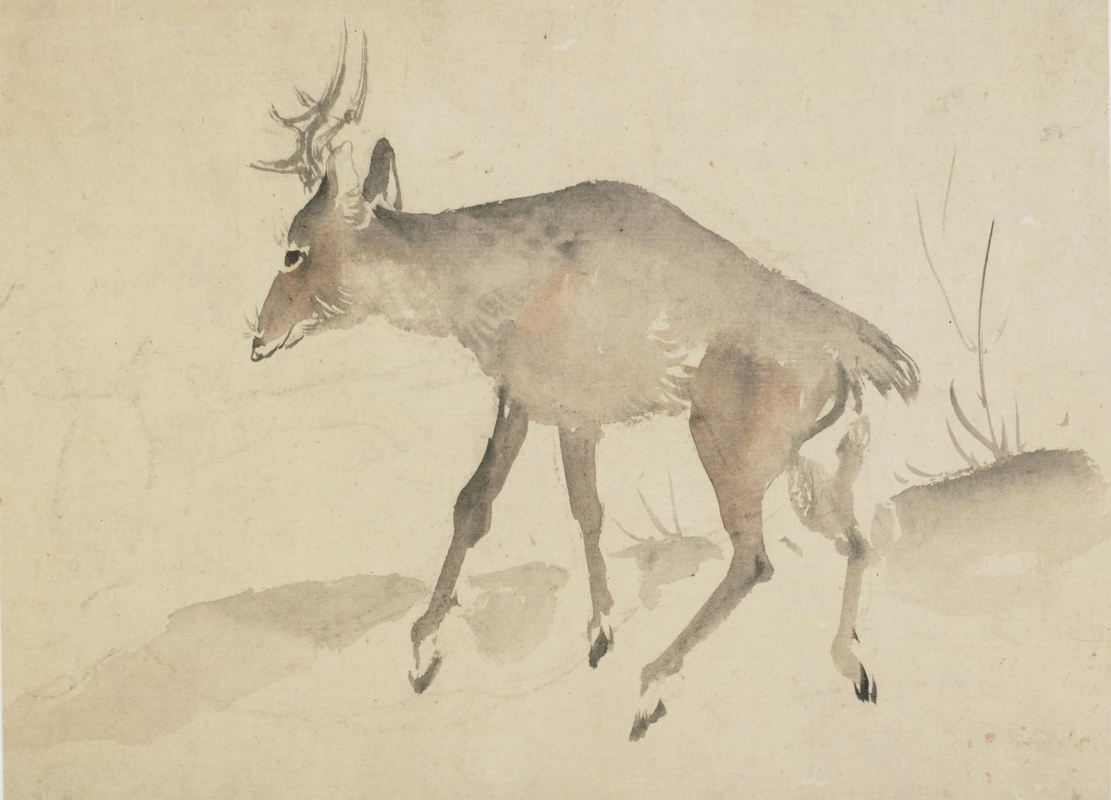 Serene Deer Watercolor Nature Wall Art