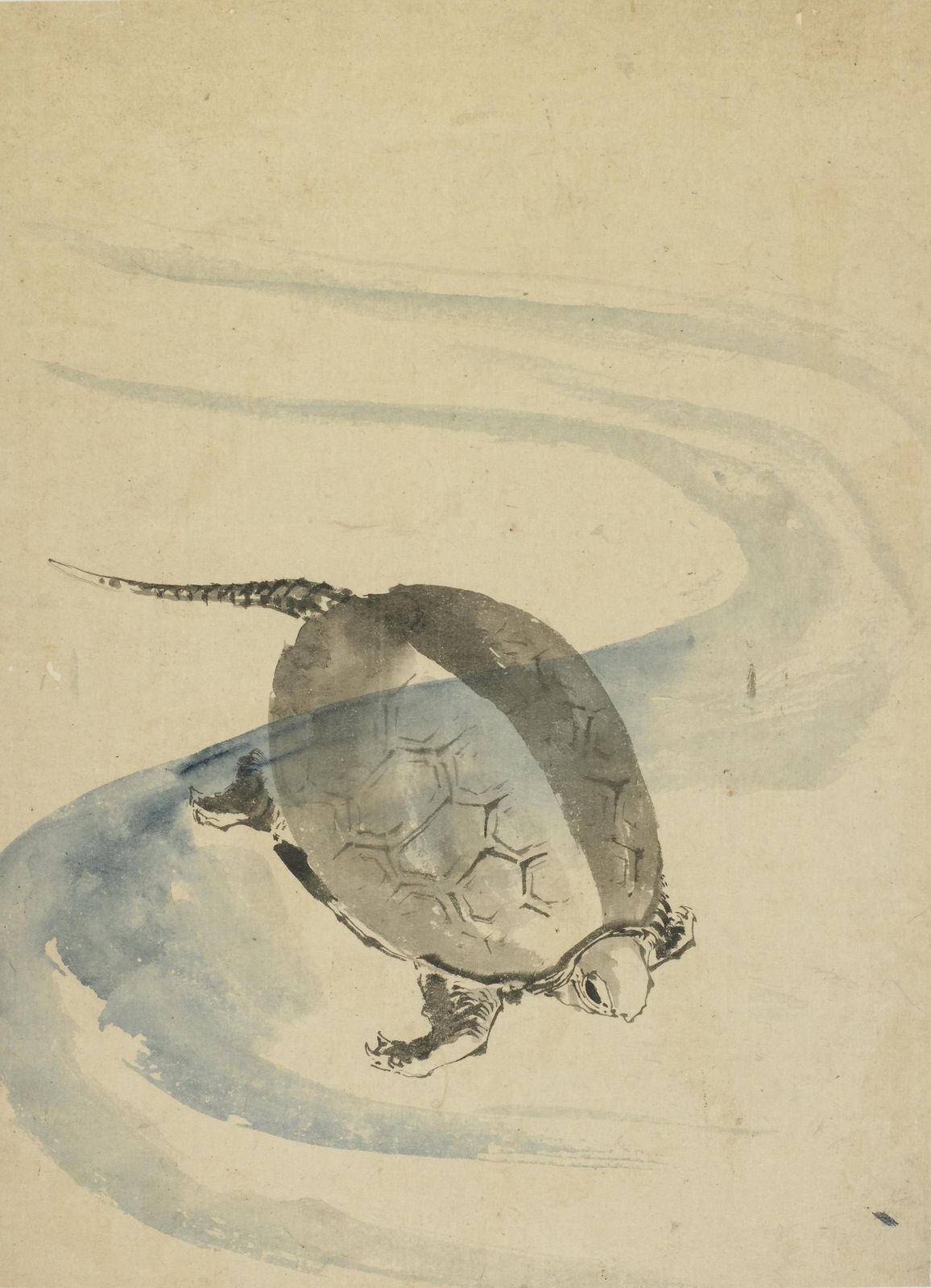 Serene Turtle Swim Watercolor Wall Art