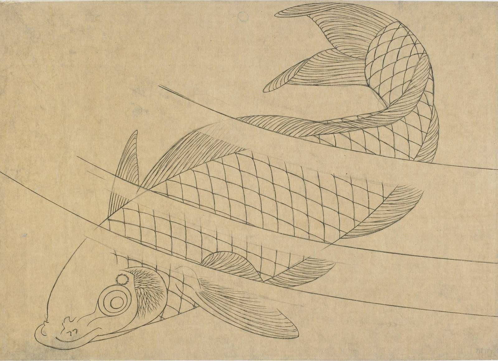 Zen Koi Fish Serene Ascent Wall Art