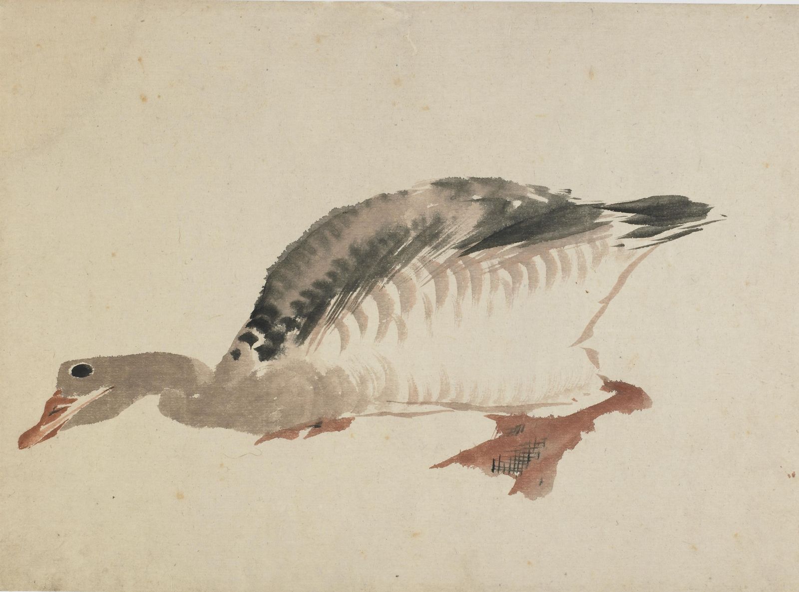 Graceful Goose Watercolor Art Wall Art