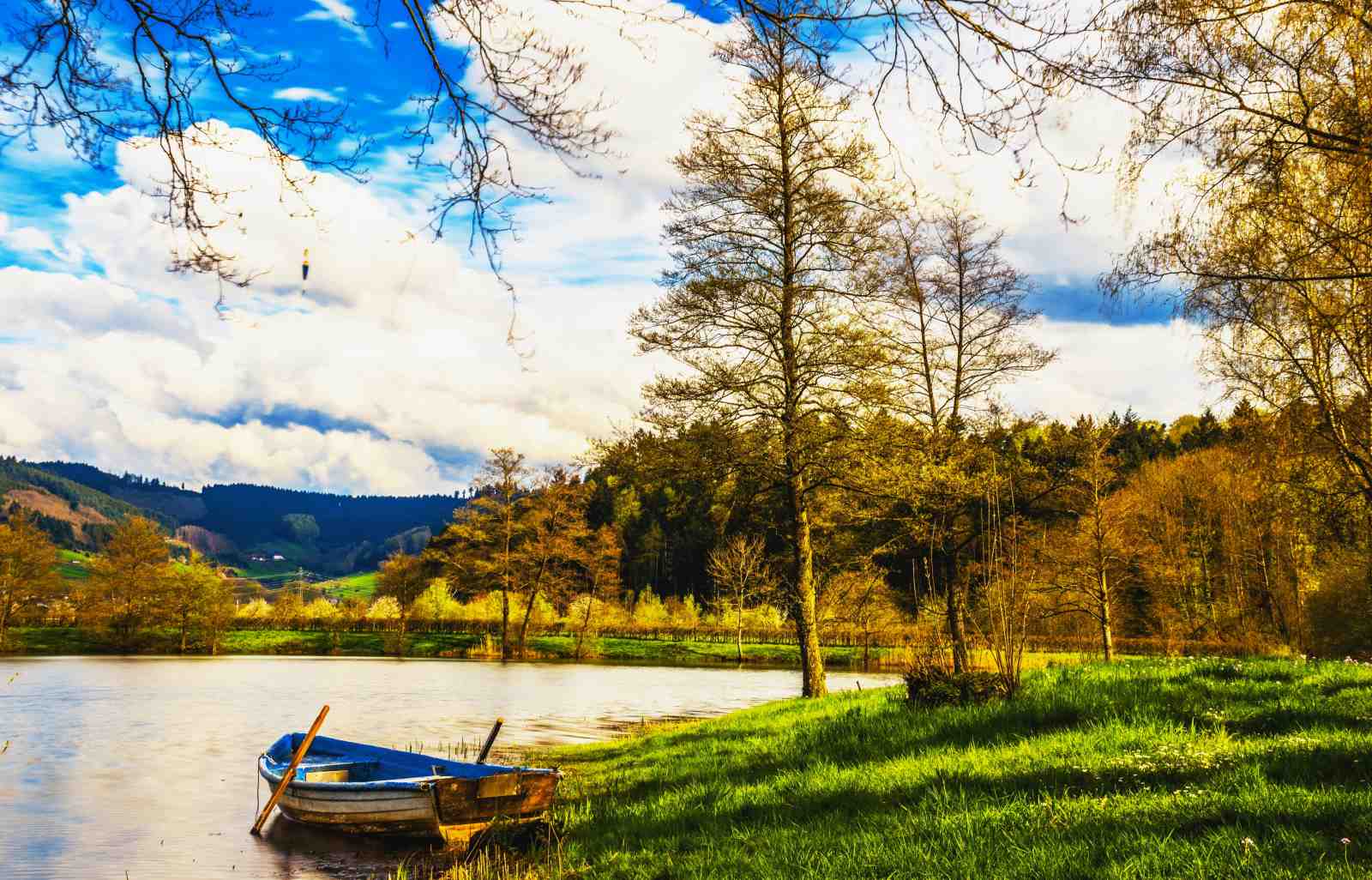 Tranquil Lake & Boat Landscape Wall Art