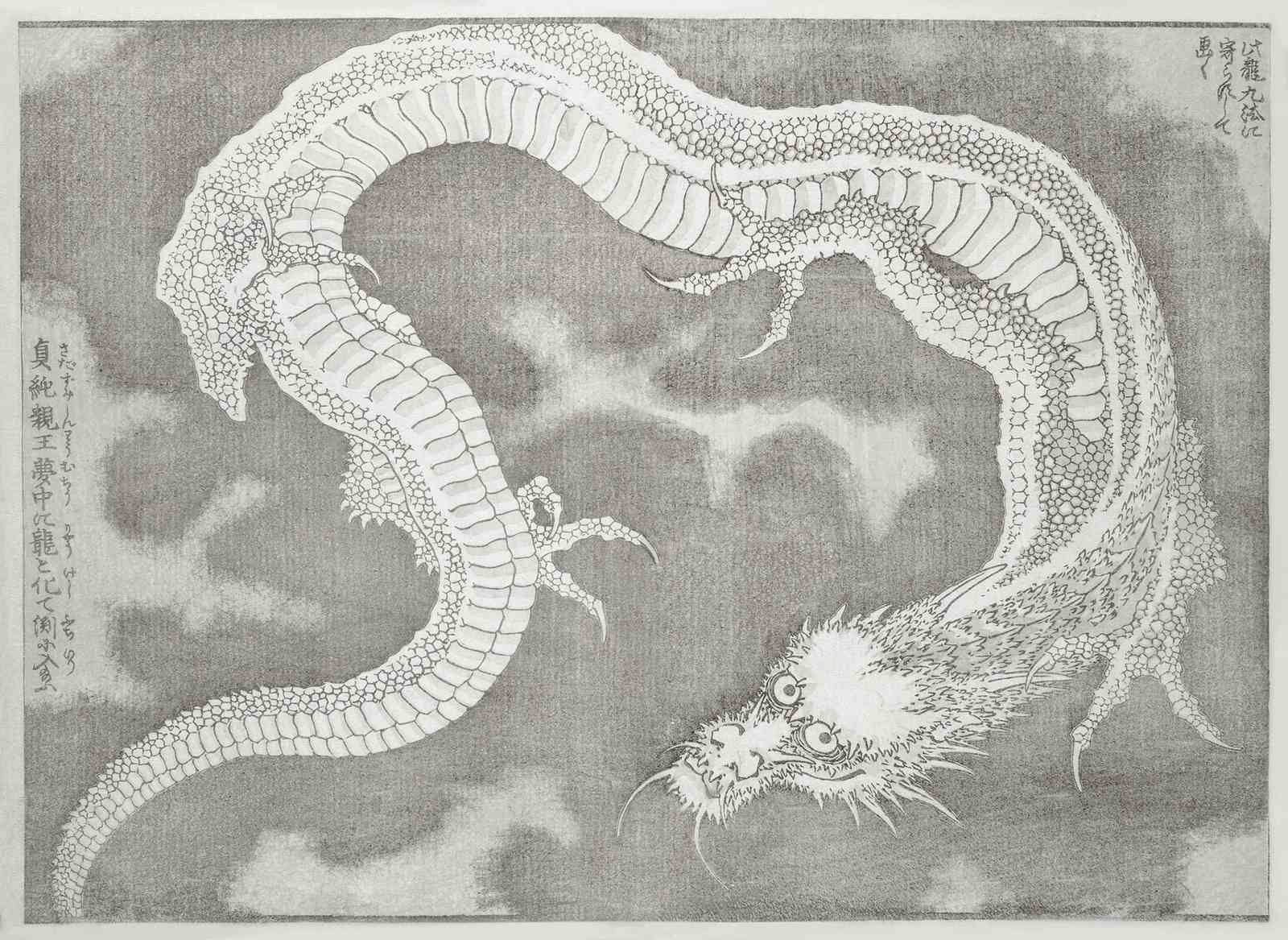 Majestic Dragon Ascending Wall Art