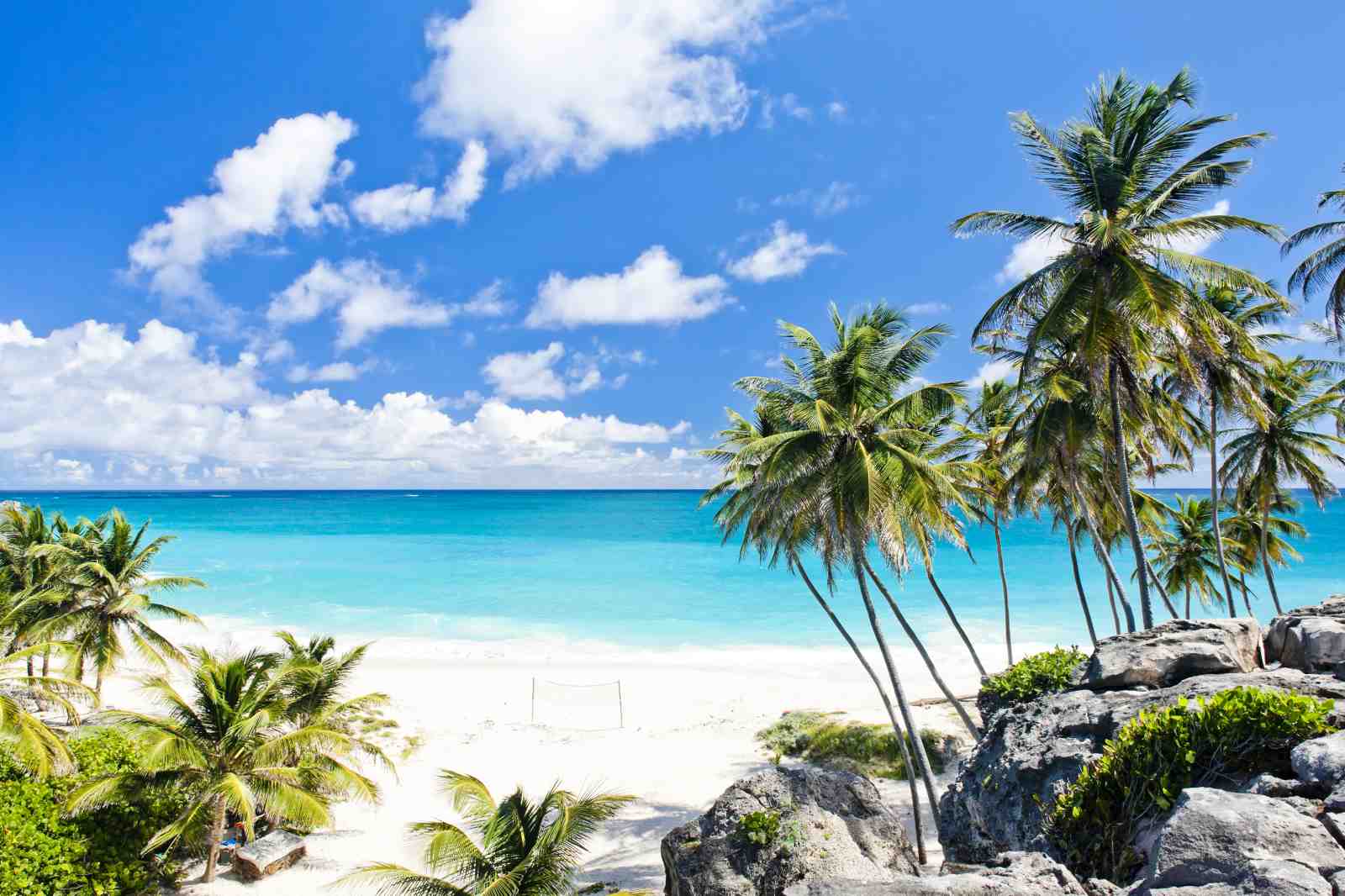 Tropical Paradise Palm Beach Wall Art