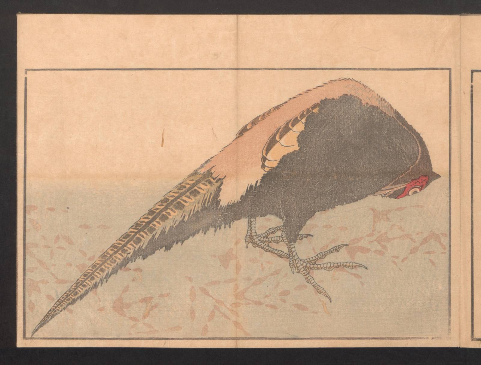 Elegant Pheasant Japanese Art Wall Art