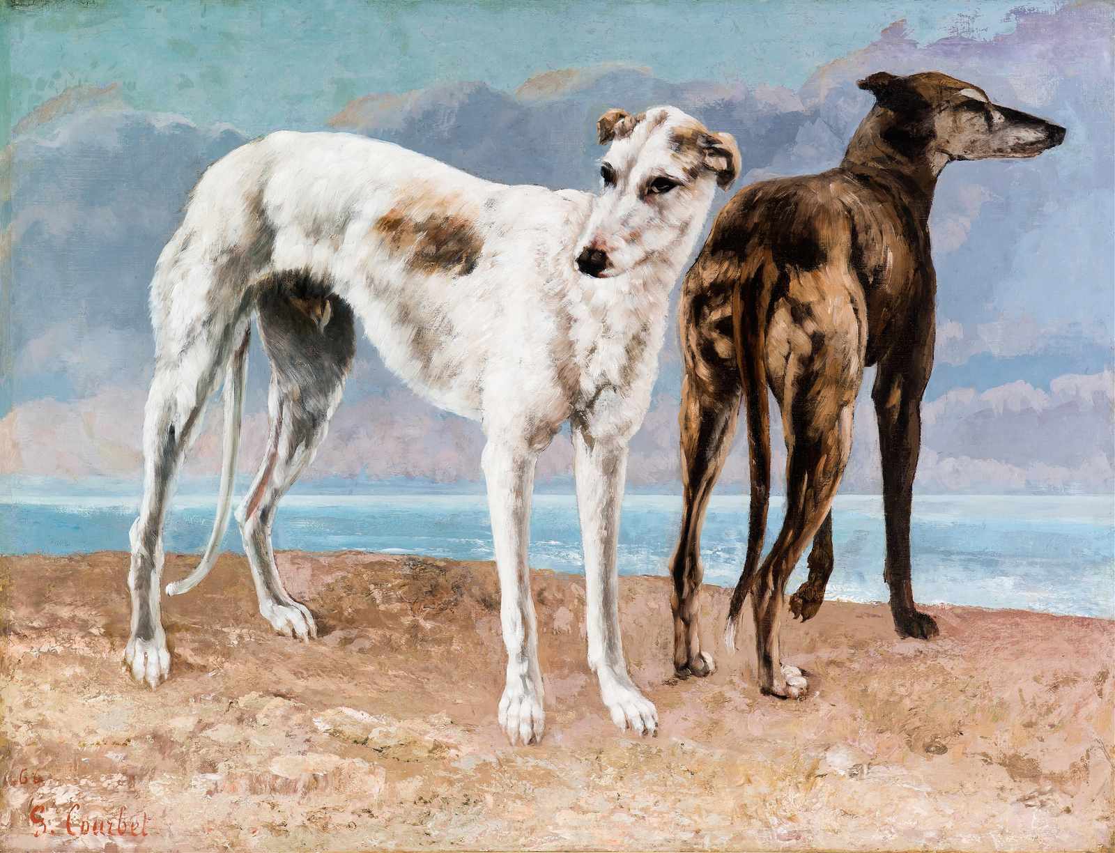 Elegant Greyhounds by the Sea Wall Art