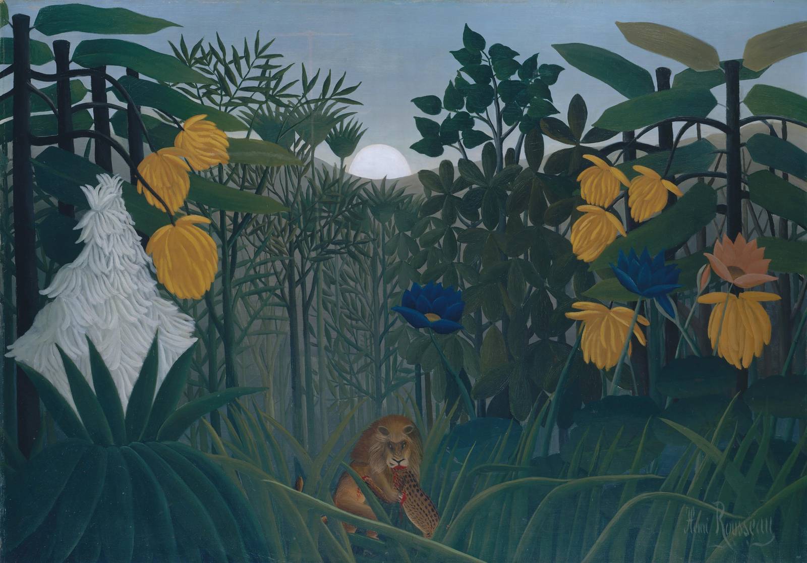 Enchanting Jungle Lion Wall Art