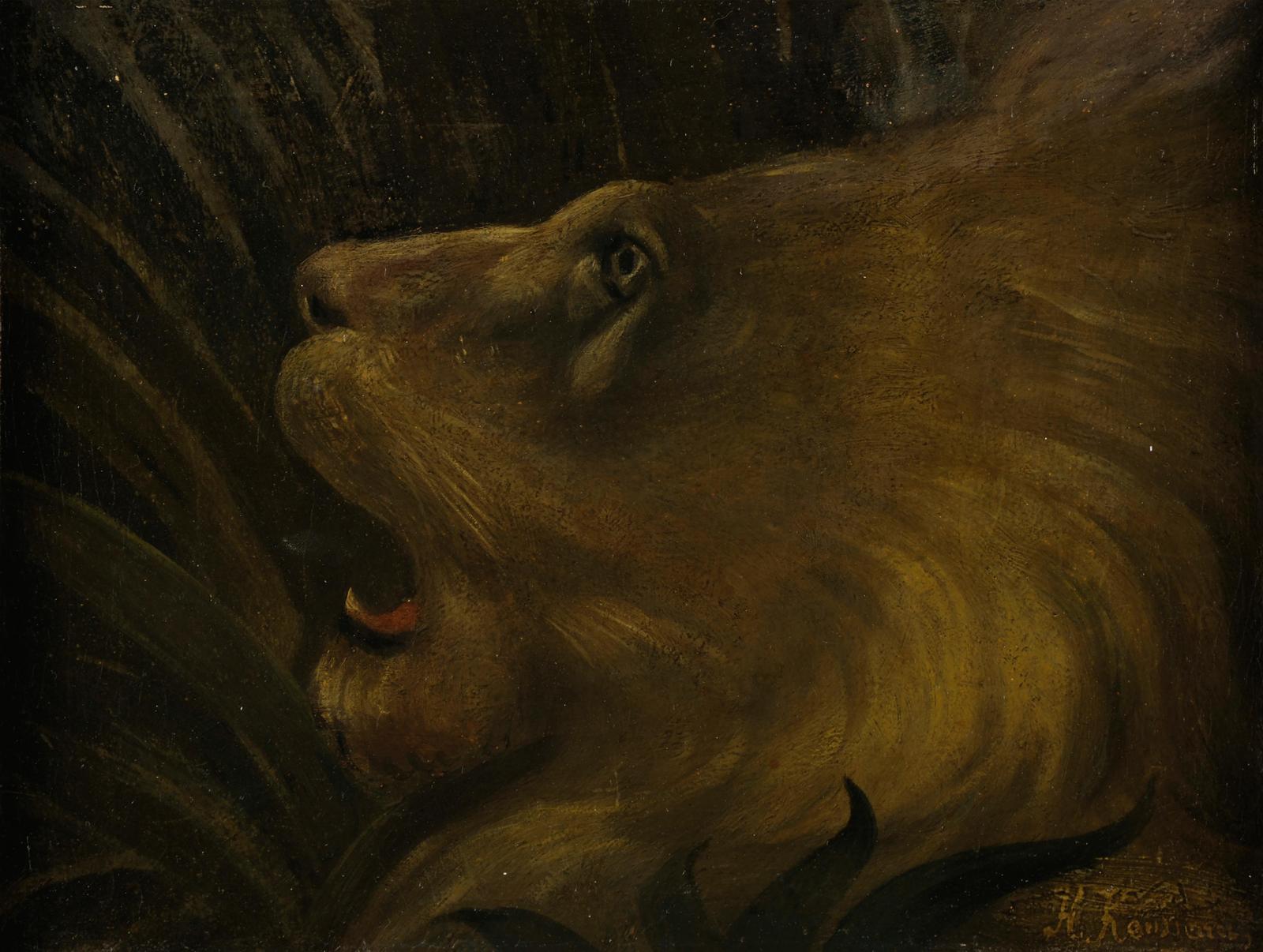 Majestic Lion Roar Wildlife Wall Art