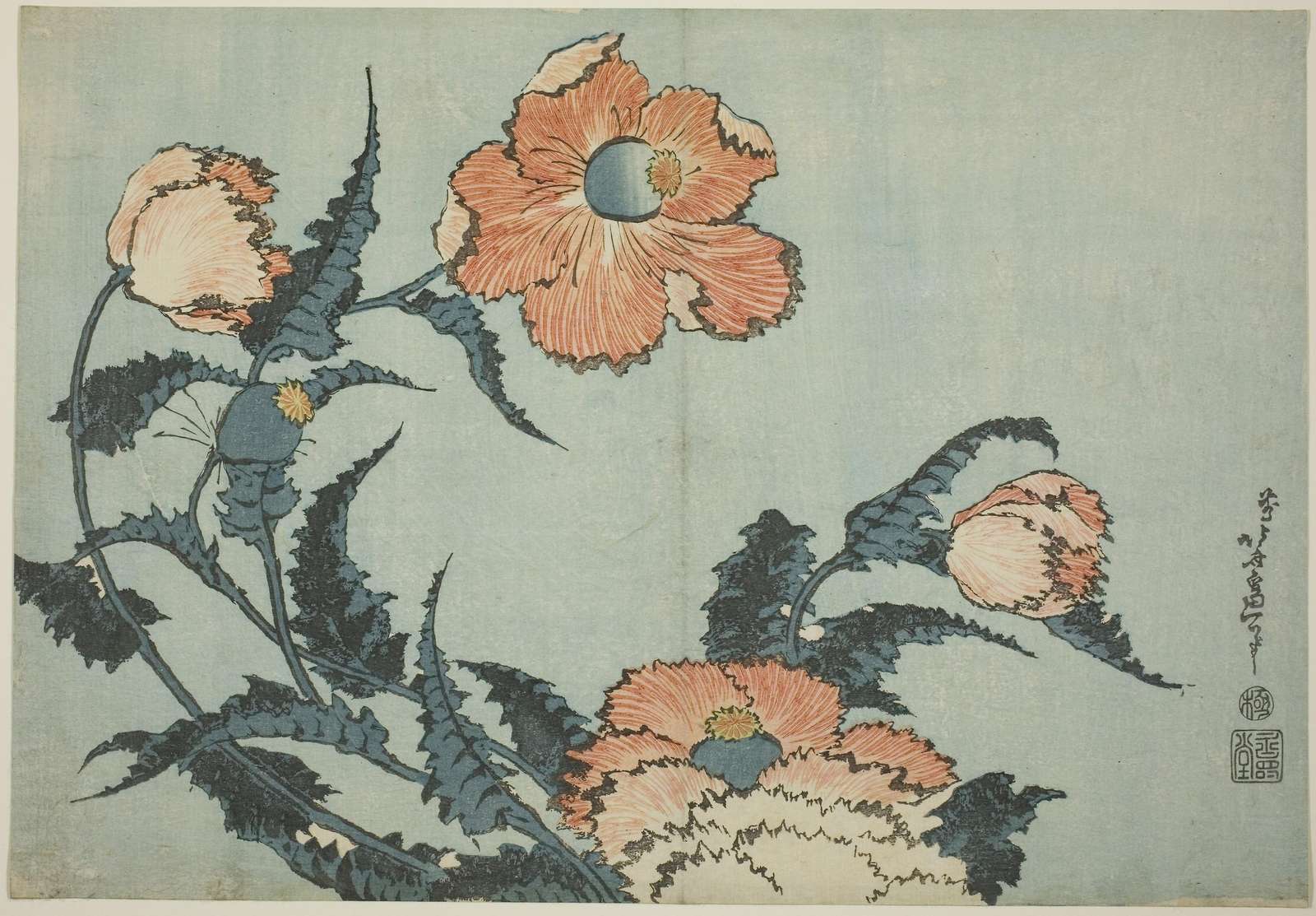 Japanese Poppies Floral Art Wall Art