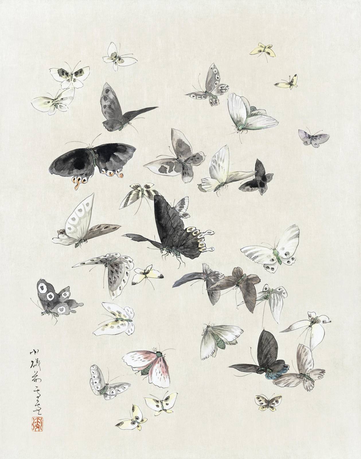 Elegant Butterfly Flock Wall Art Wall Art