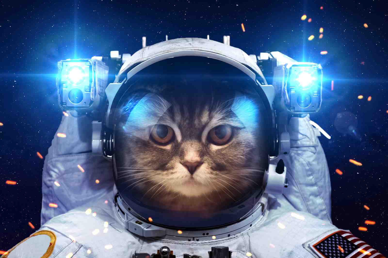 Astronaut Cat "Cosmic Explorer" Wall Art