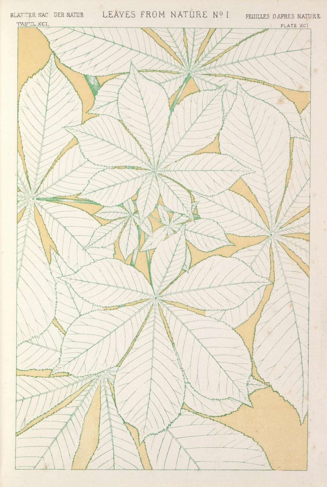 Vintage Botanical Leaves Wall Art
