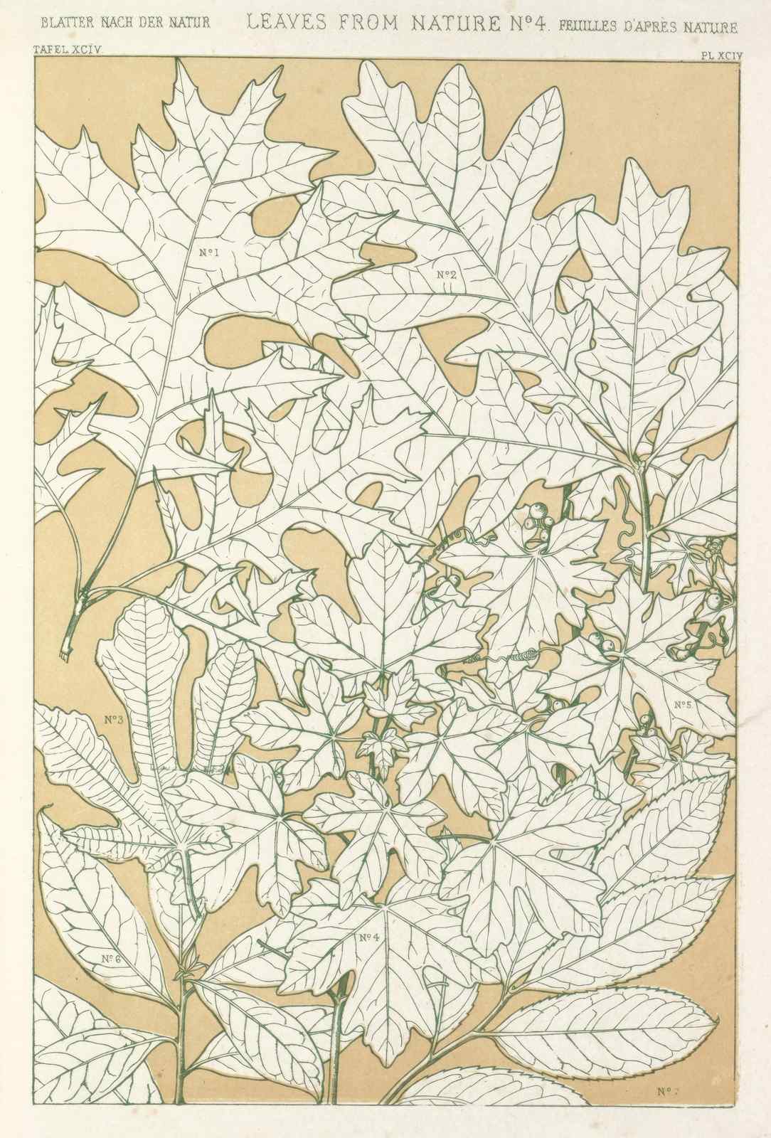 Art Nouveau Botanical Leaves Wall Art
