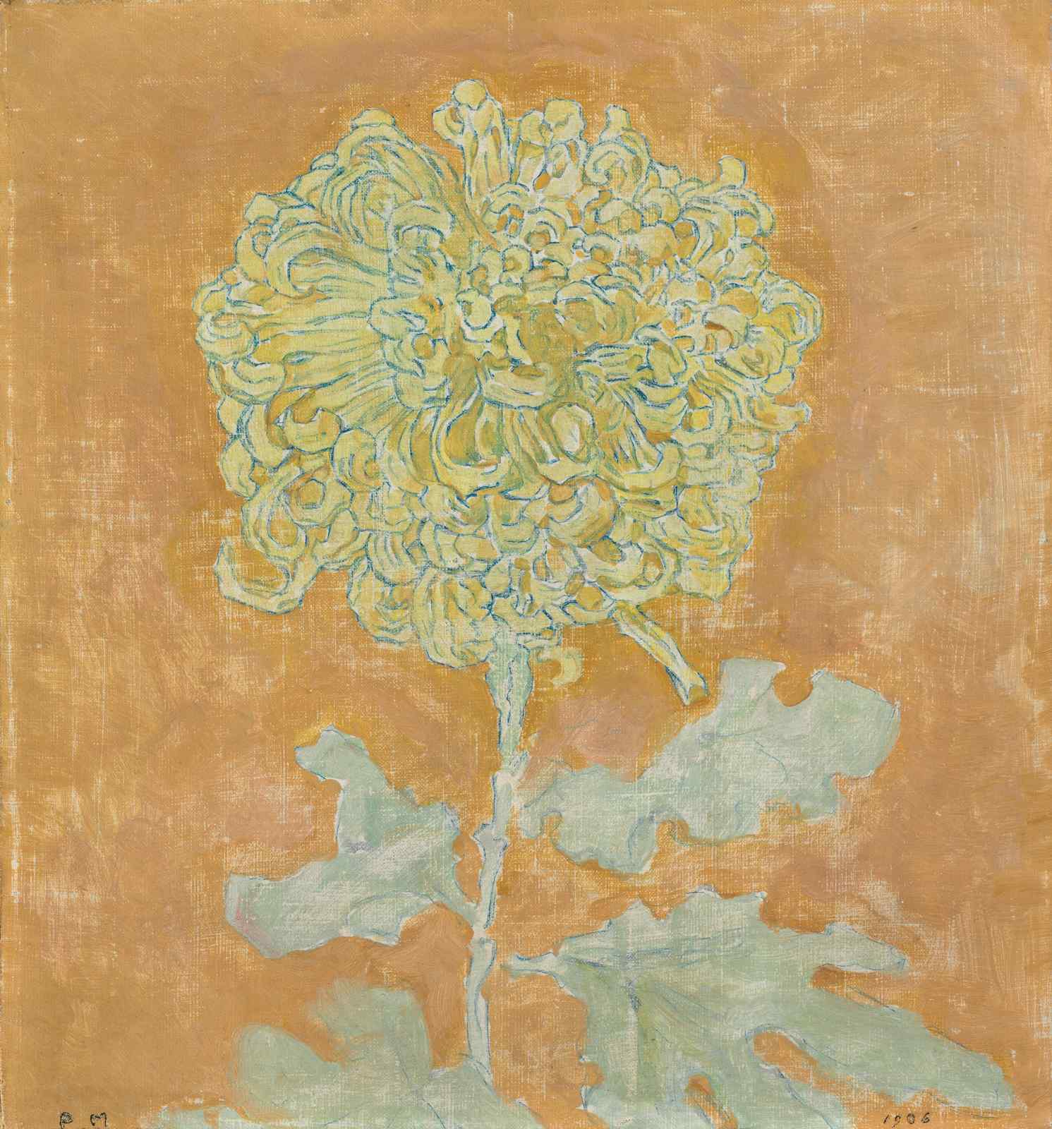 Yellow Chrysanthemum Botanical Art Wall Art
