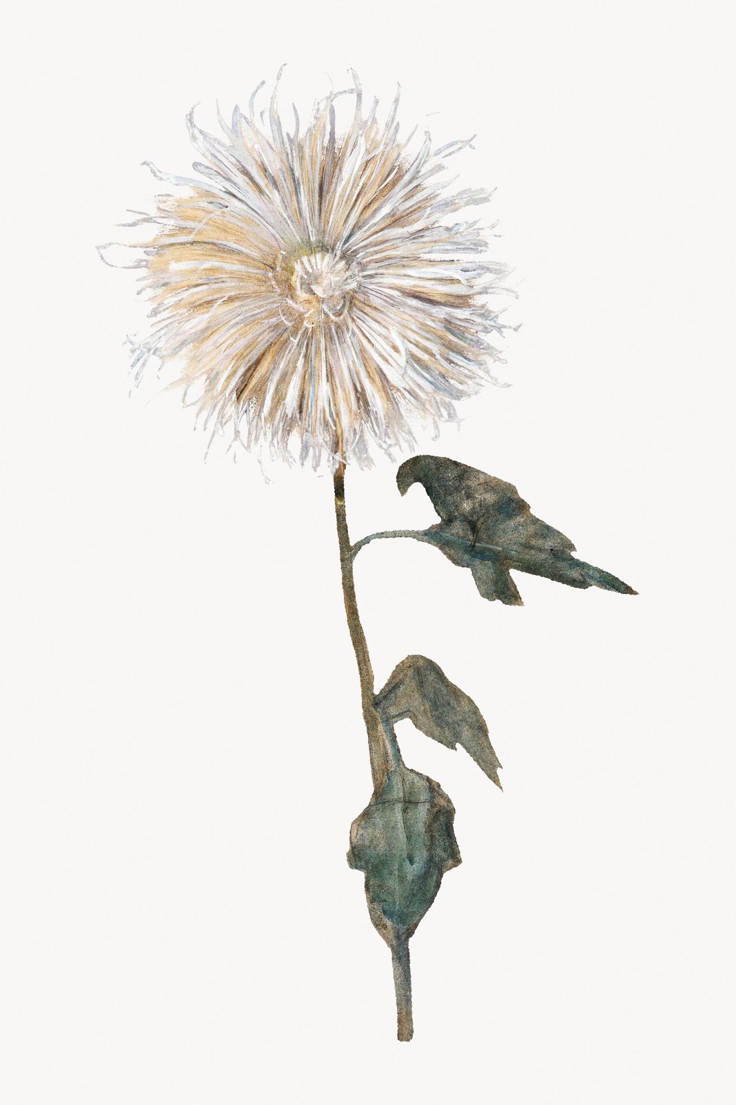 Elegant Bird & Dandelion Botanical Wall Art