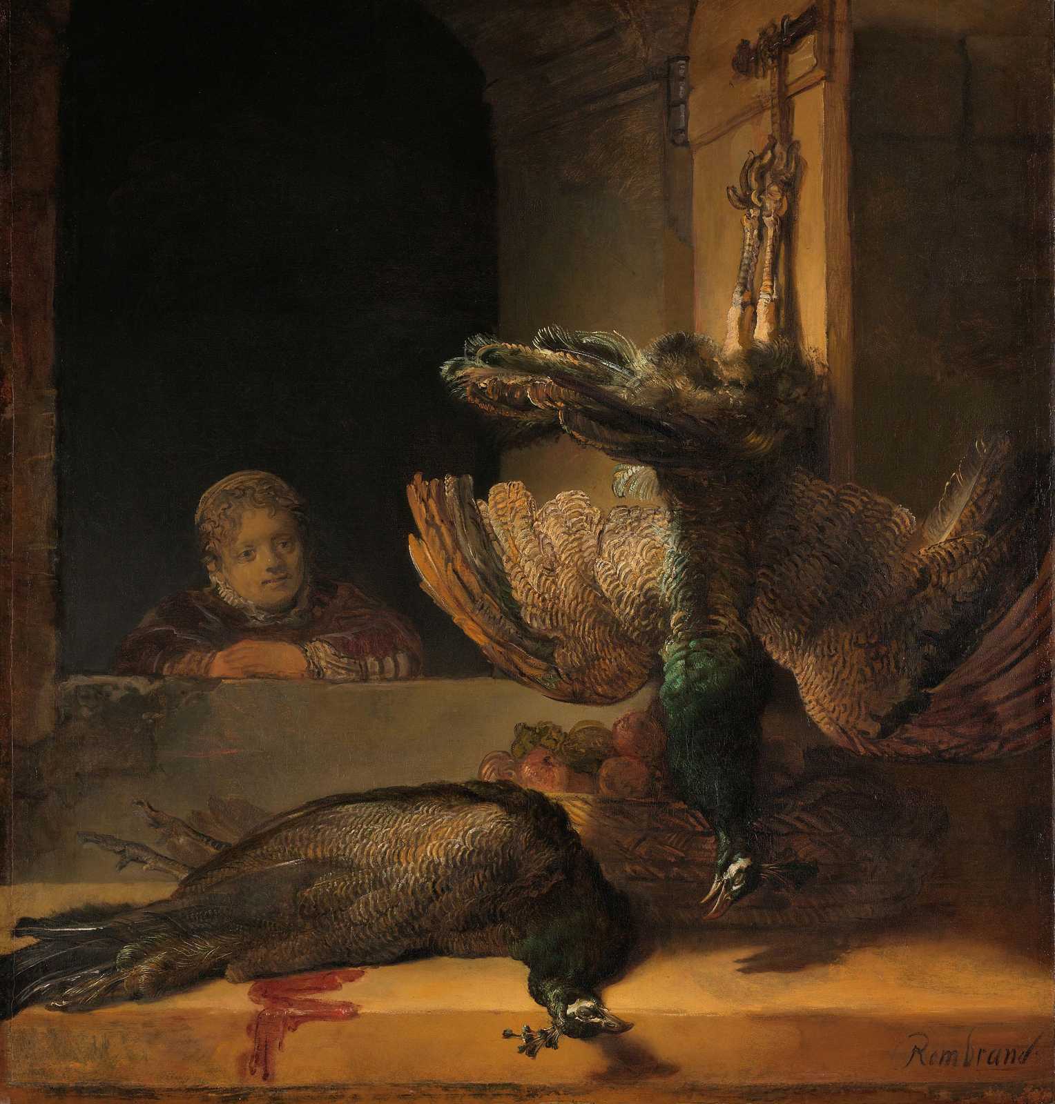 Still Life Peacock Rembrandt Wall Art