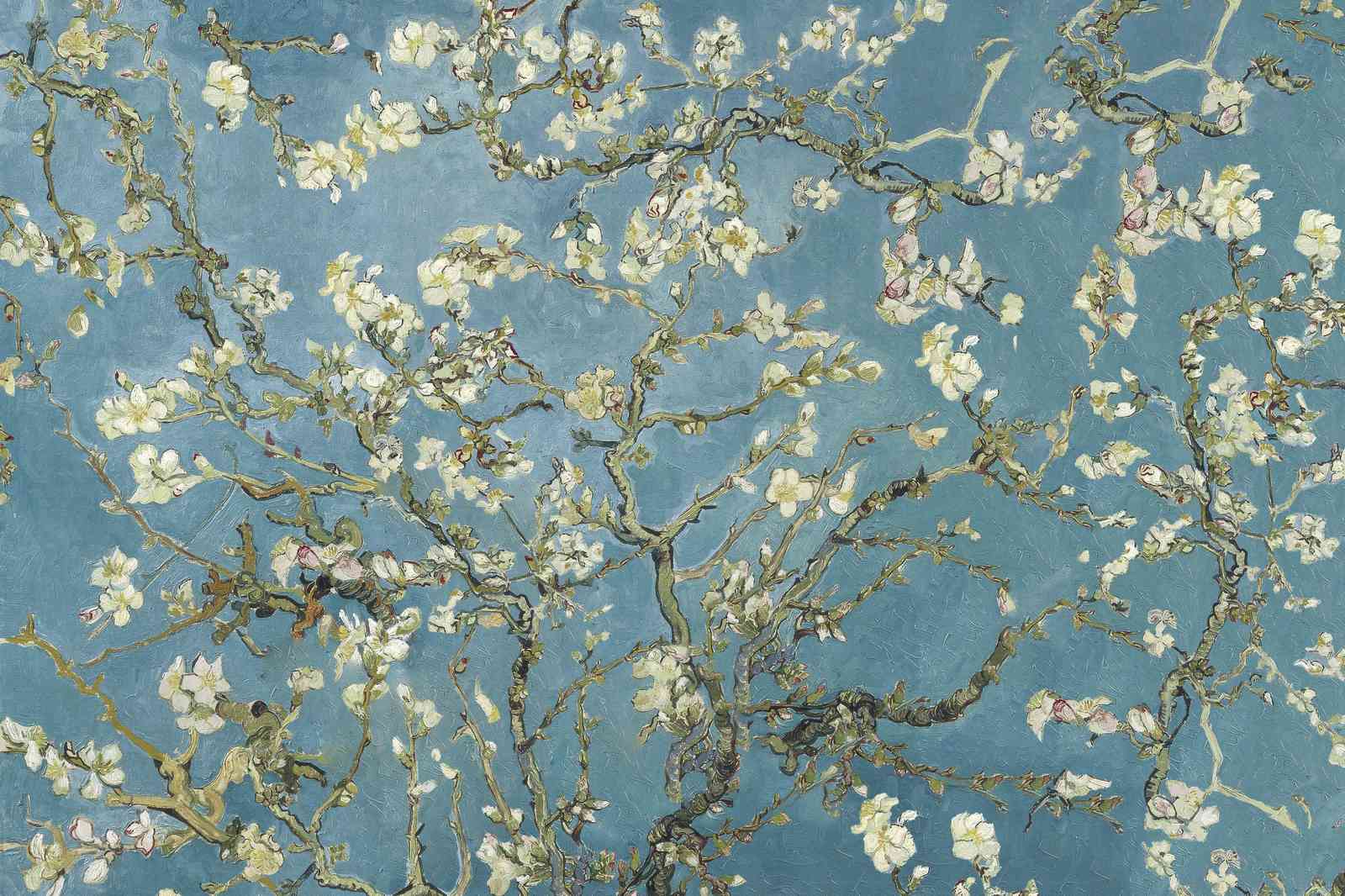 Almond Blossoms Van Gogh Wall Art
