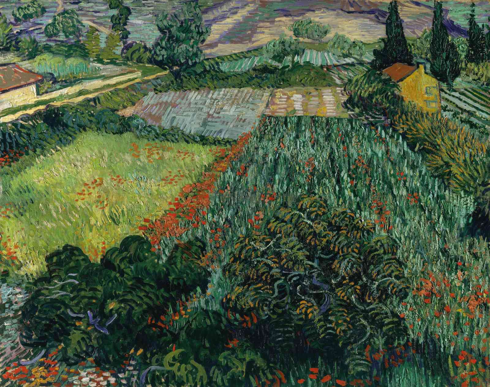 Vibrant Poppy Field Landscape Van Gogh Wall Art