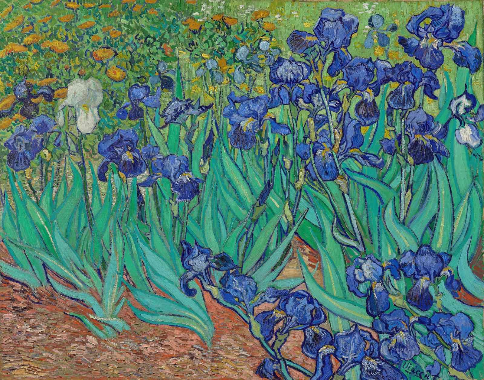 Van Gogh Irises Vibrant Blue Floral Wall Art