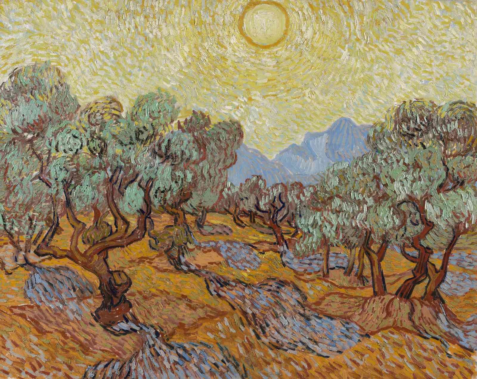 Vincent Van Gogh Olive Grove Wall Art