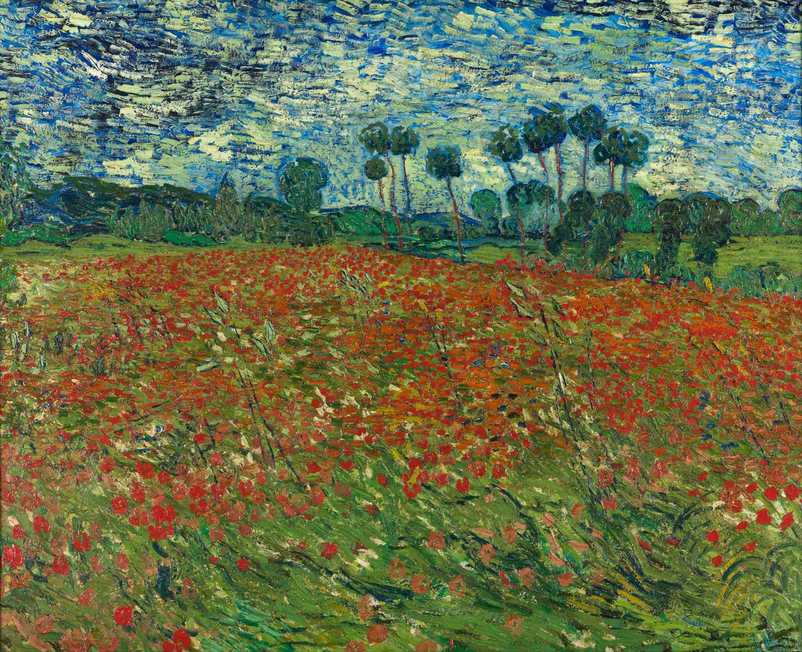 Vibrant Poppy Field Landscape Wall Art