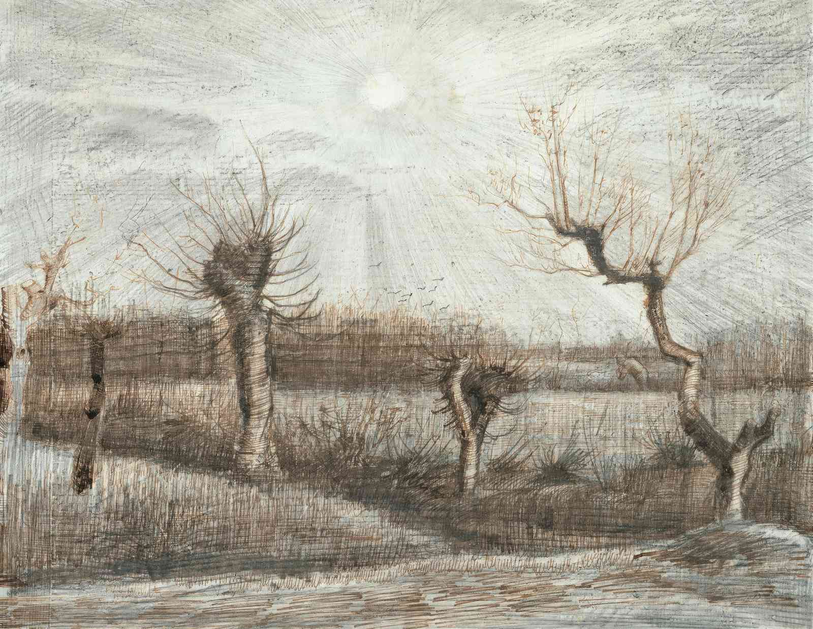 Winter Trees Sunburst Sketch Wall Art