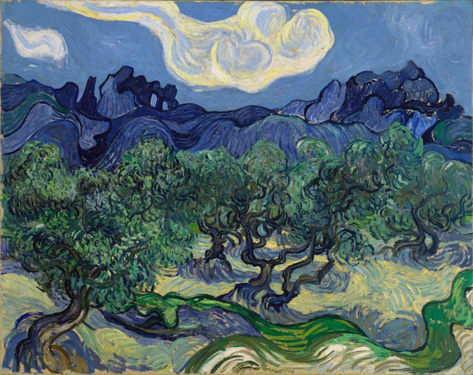Van Gogh Olive Grove Masterpiece Wall Art