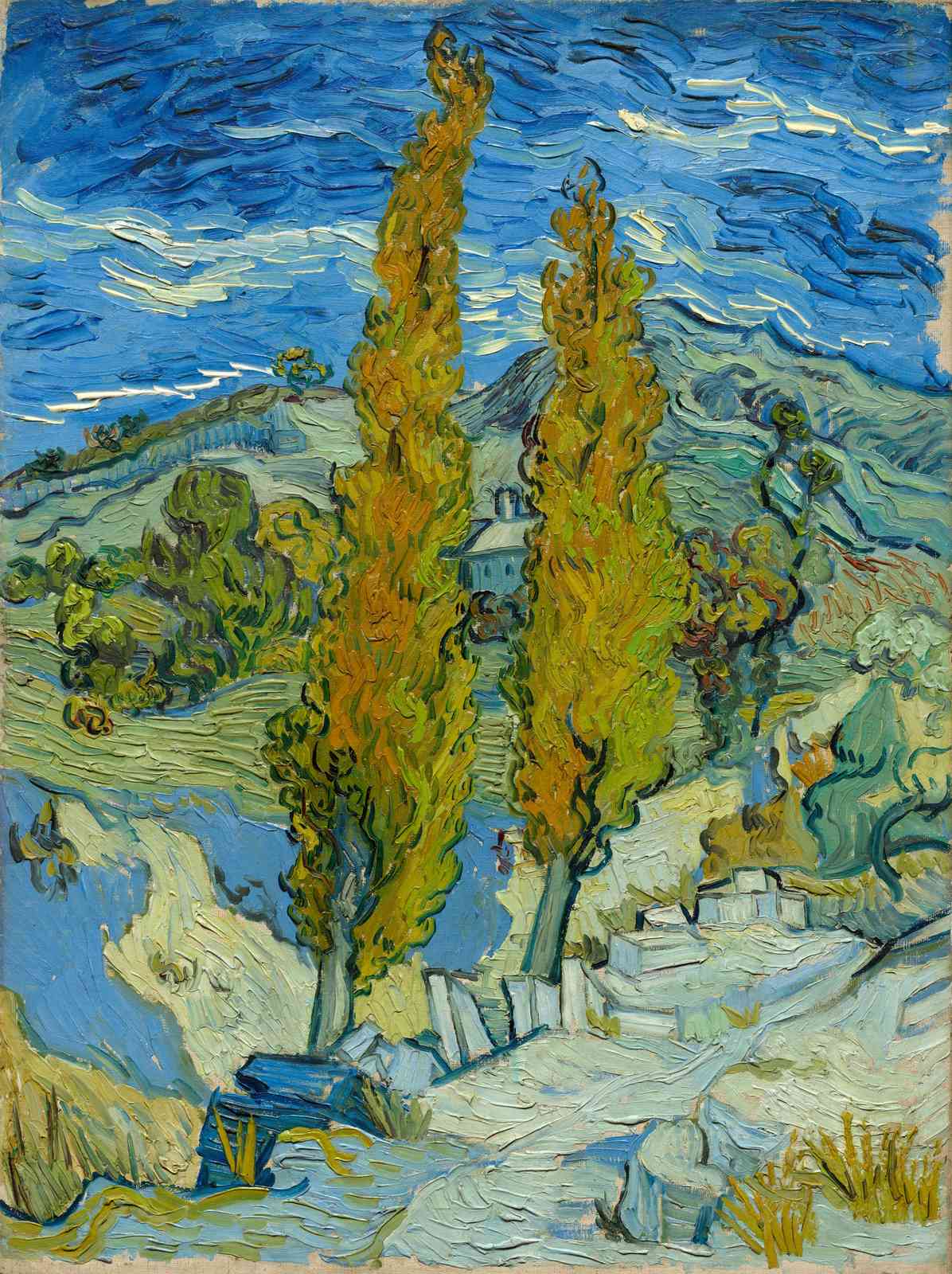Vibrant Cypresses Landscape Wall Art