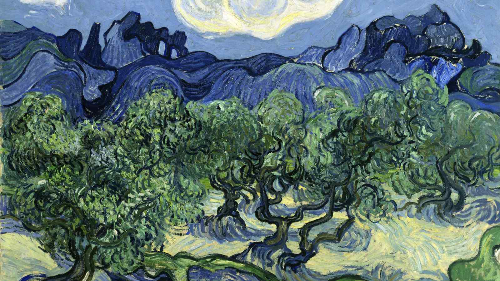 Vibrant Olive Grove Landscape Wall Art
