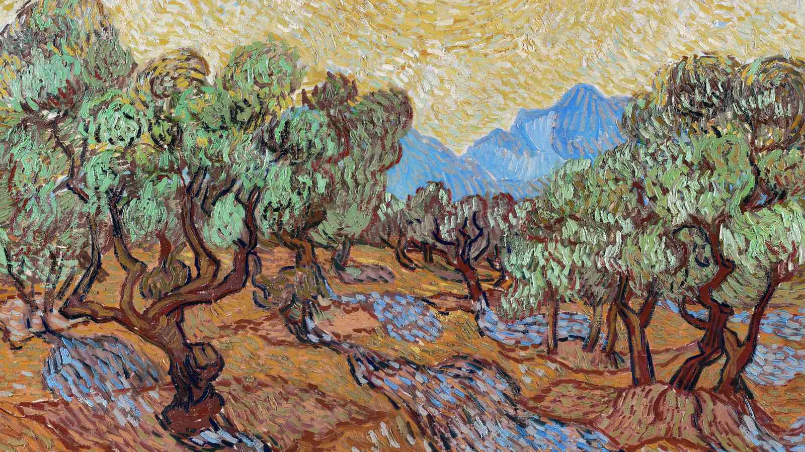 Van Gogh Olive Trees Wall Art for Sale