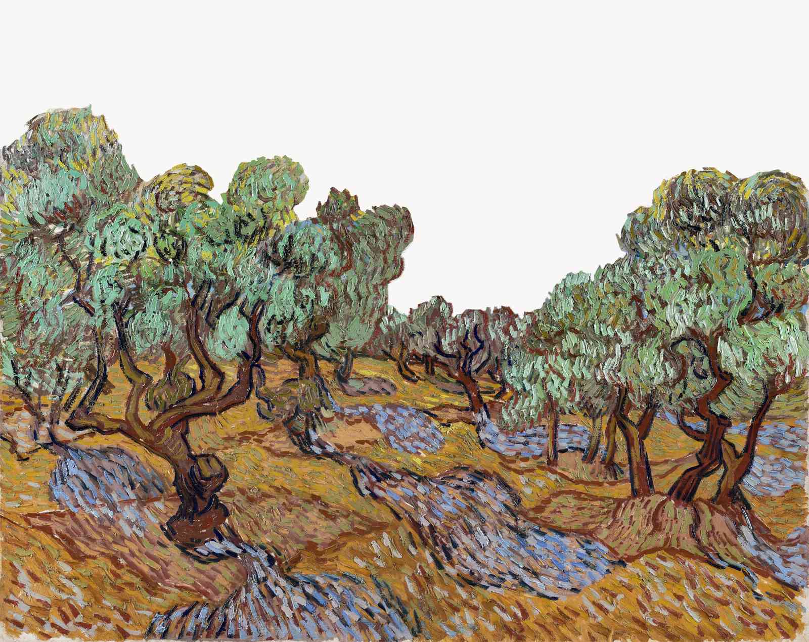 Van Gogh Olive Trees Wall Art Wall Art