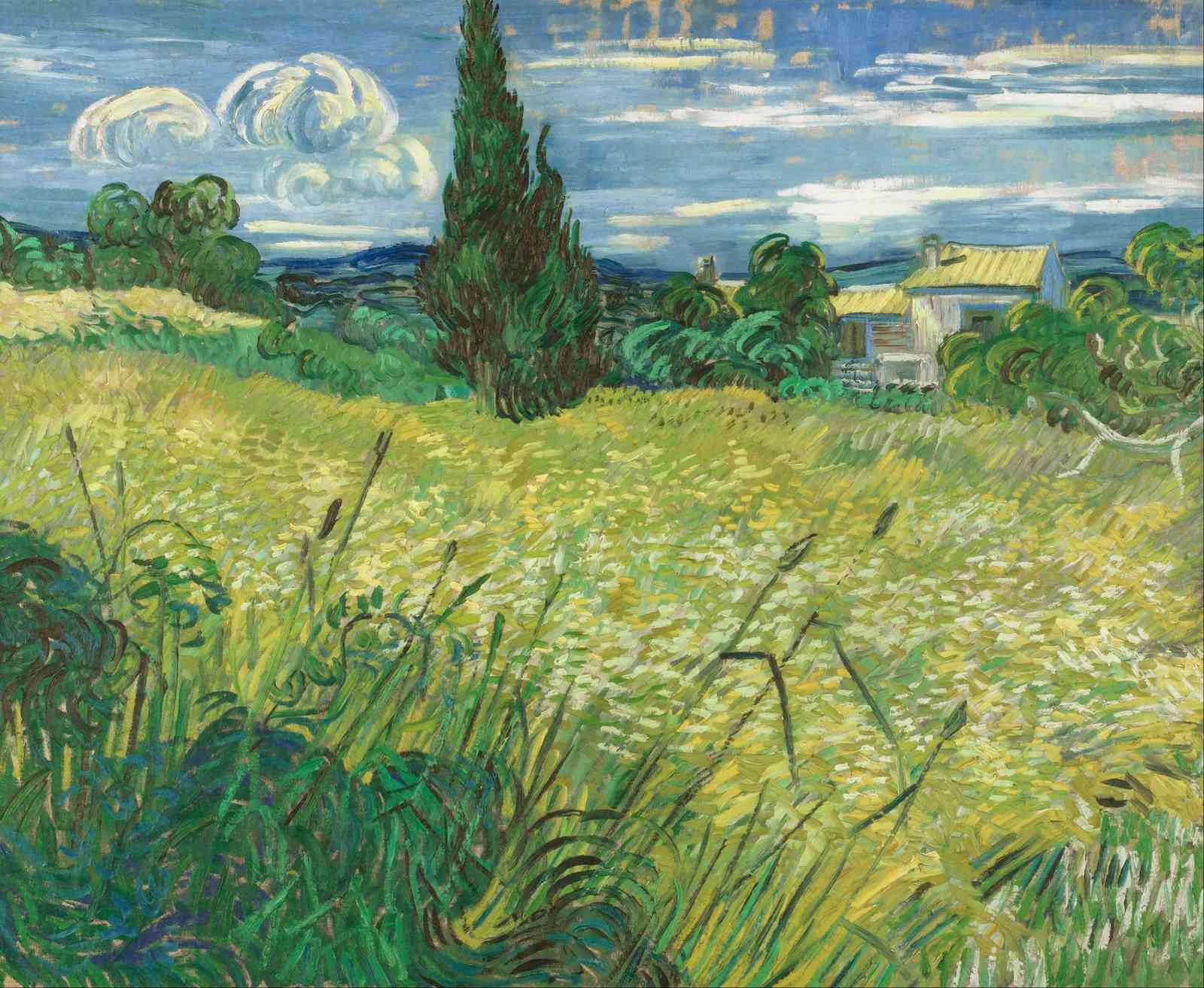 Van Gogh Wheat Field Landscape Wall Art