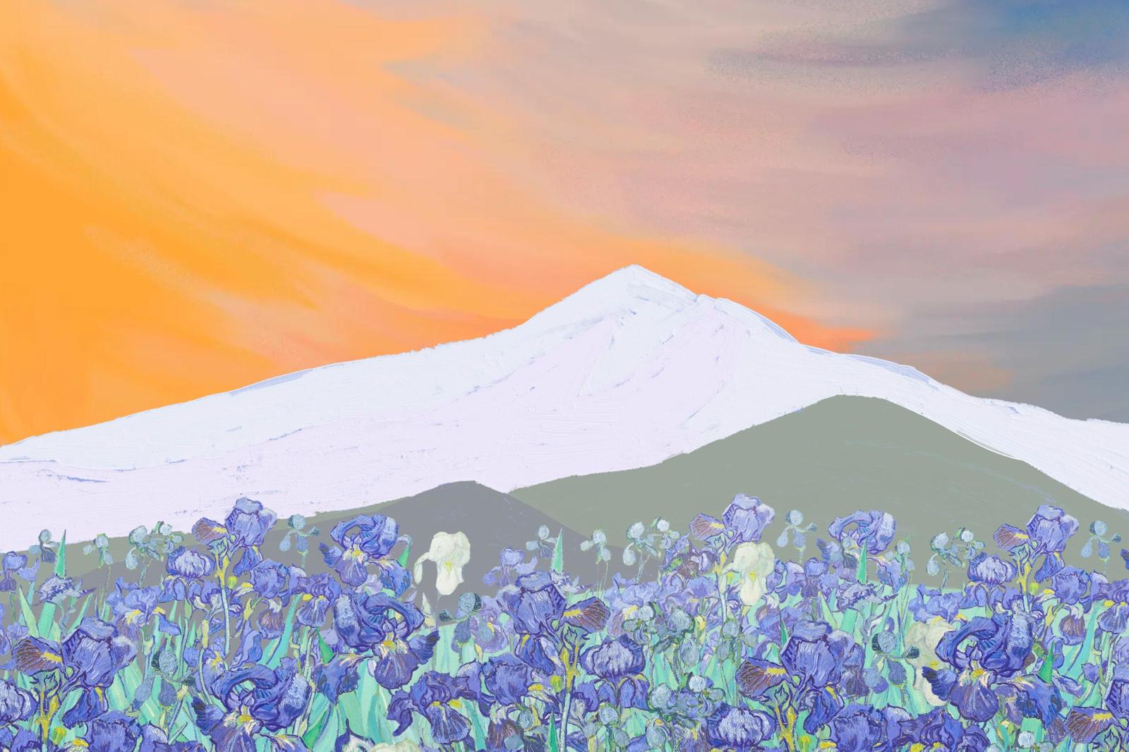 Vibrant Iris Field Mountain Sunset Wall Art