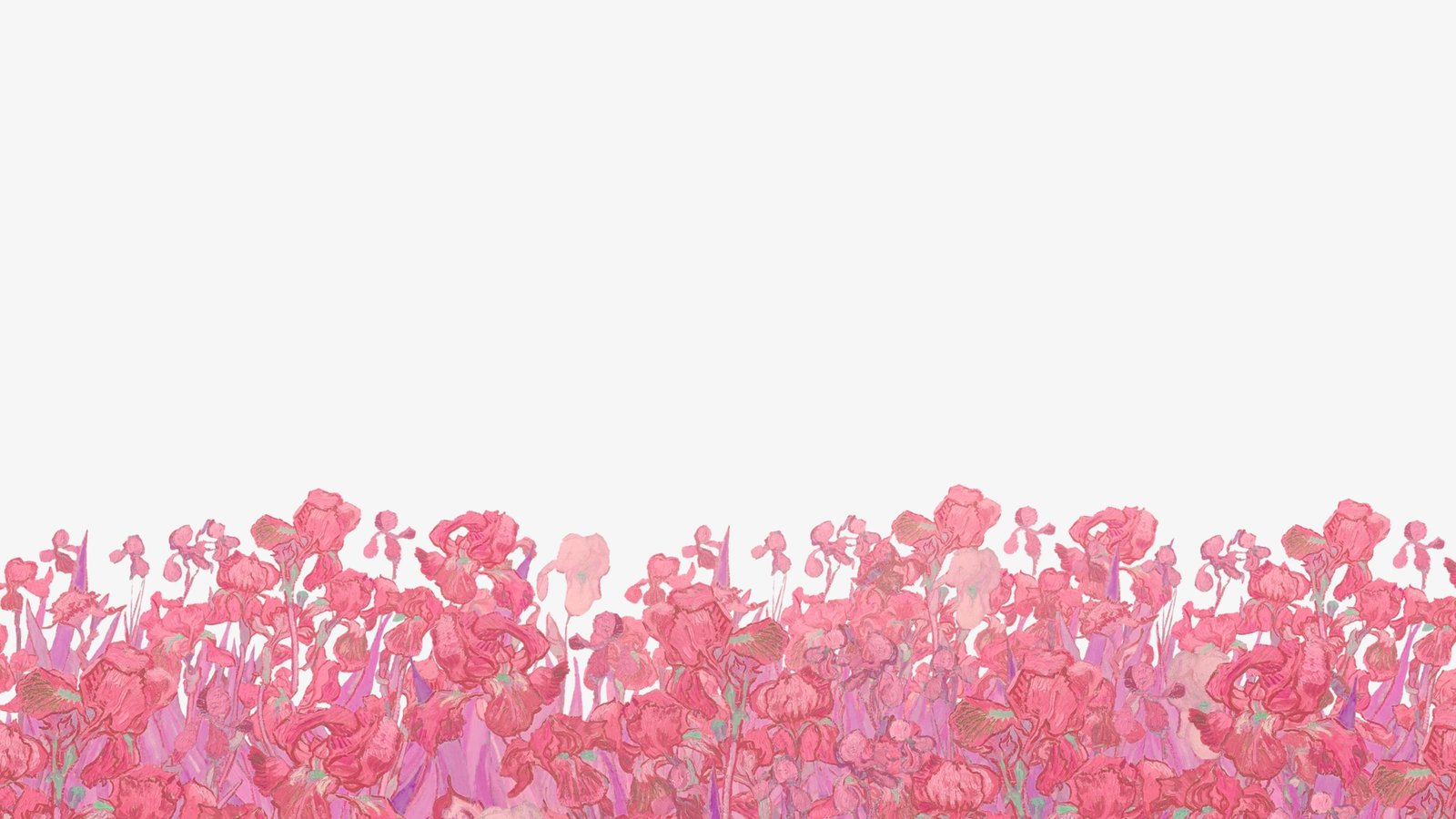 Vibrant Pink Iris Field Wall Art