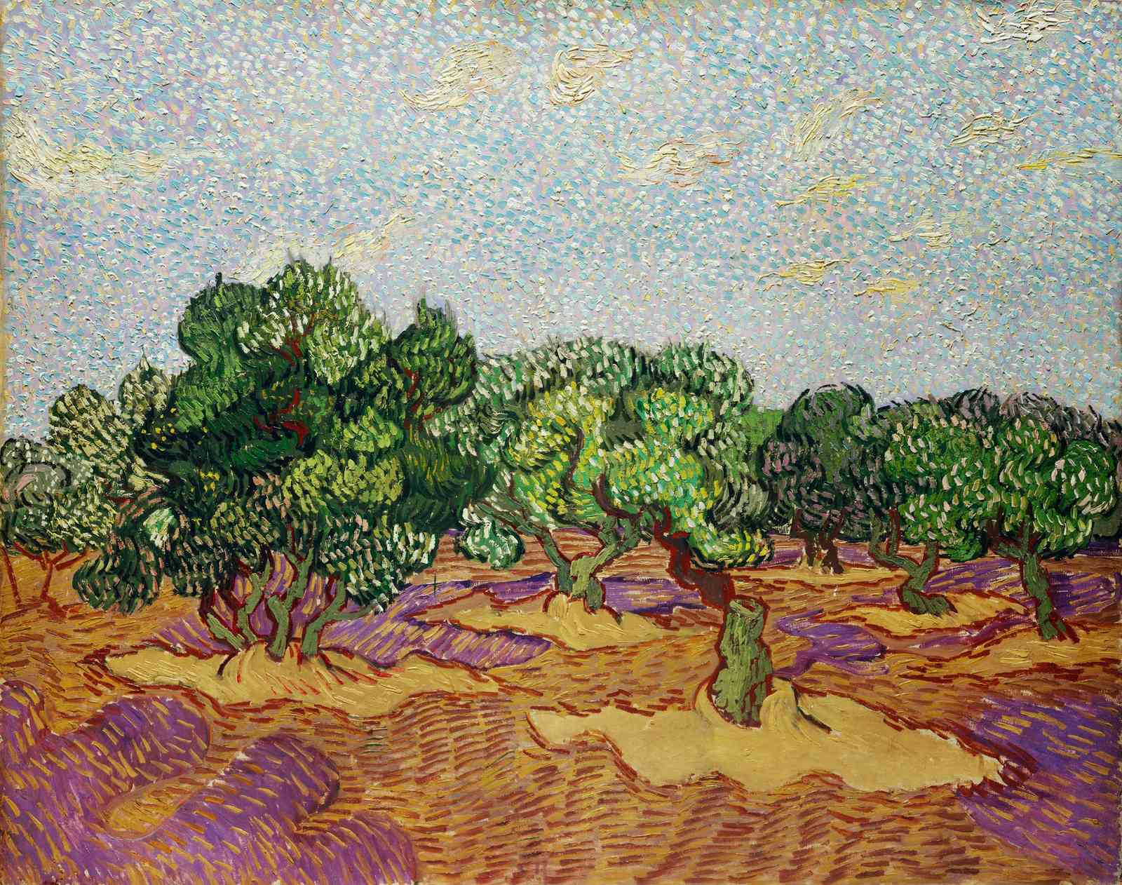 Van Gogh Olive Grove Vibrant Landscape Wall Art