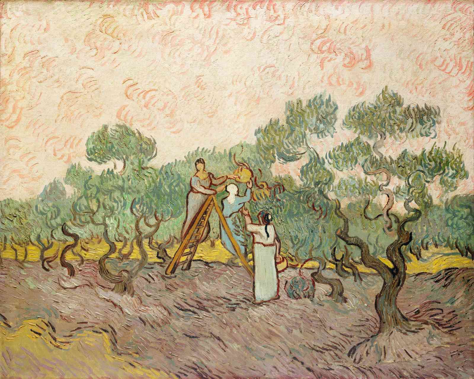 Van Gogh Olive Grove Harvest Wall Art