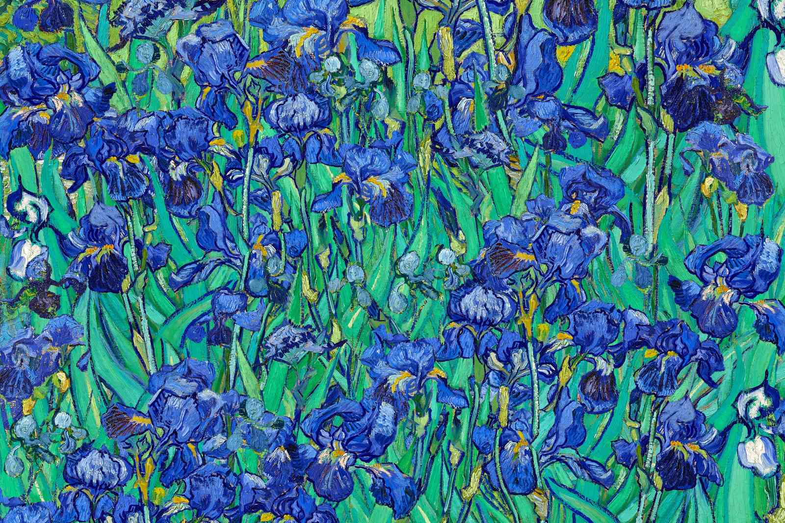 Van Gogh Irises Wall Art Wall Art