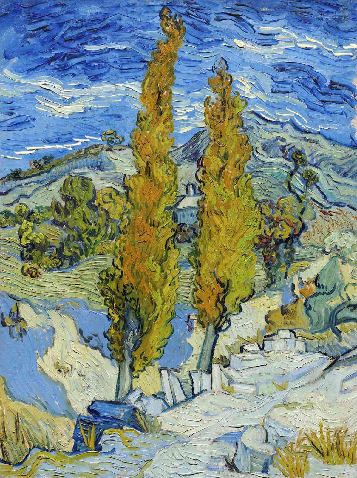 Van Gogh Cypresses Landscape Wall Art