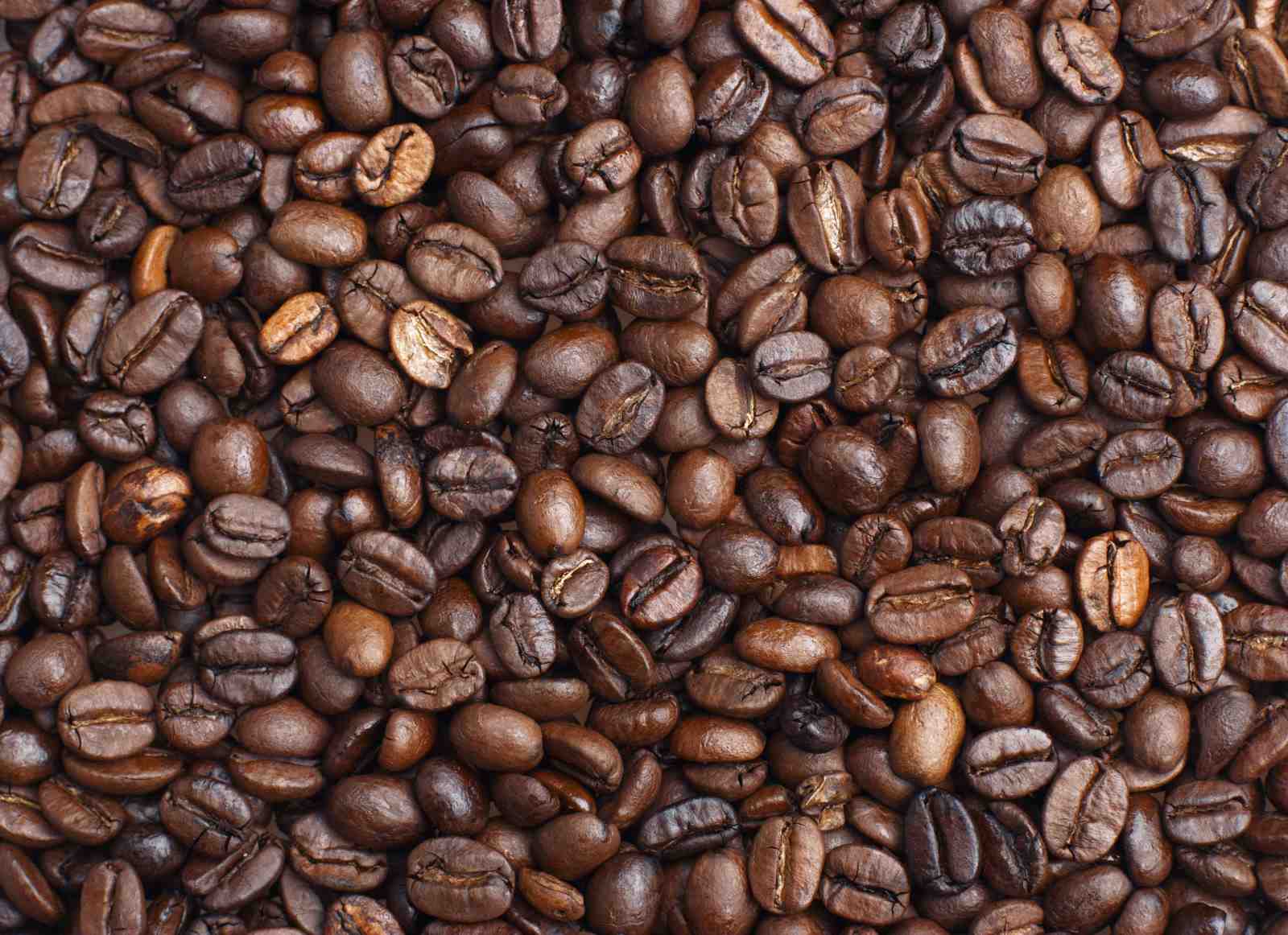 Rich Coffee Beans Close-Up Wall Art