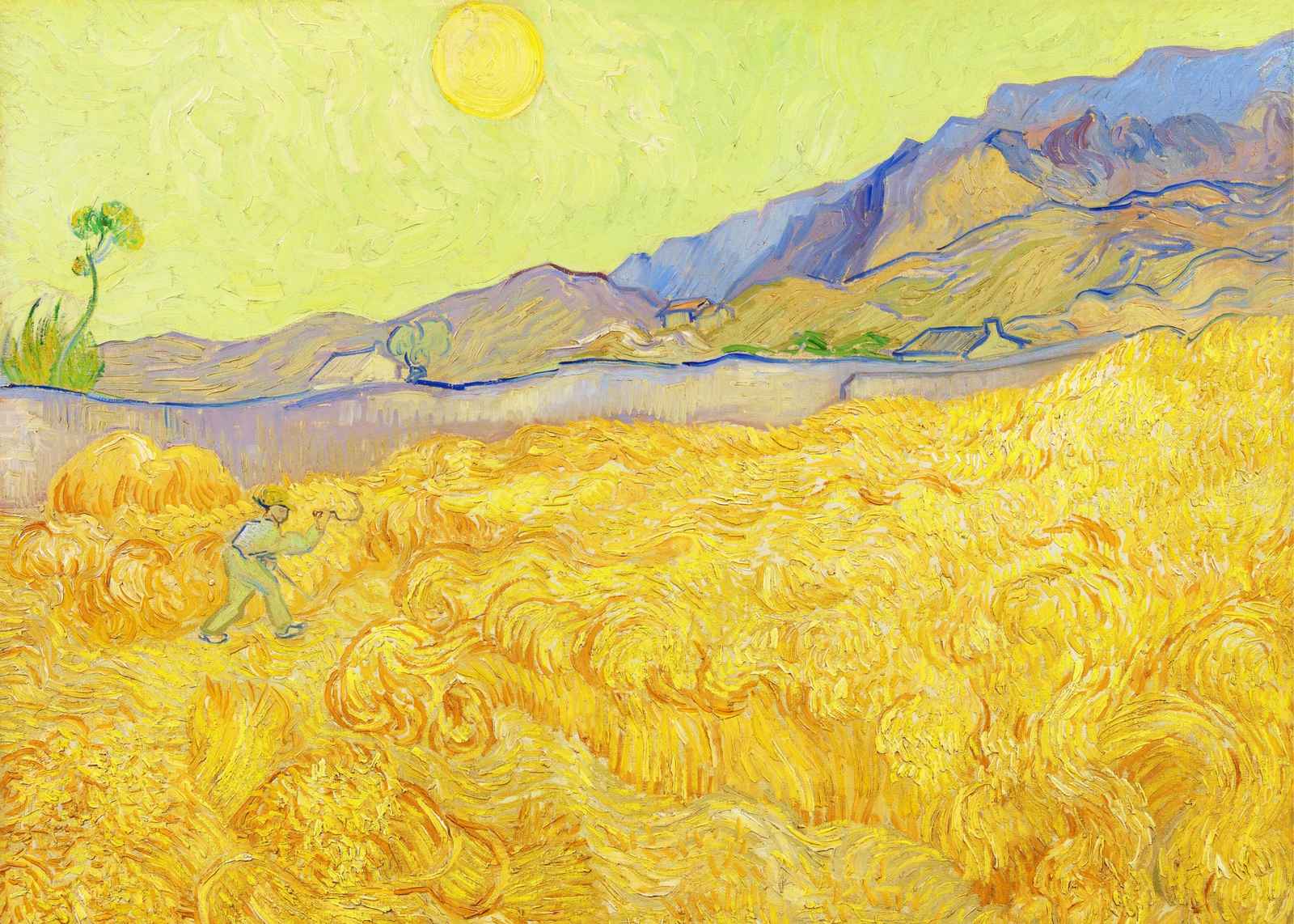 Vincent Van Gogh Hay Fields Wall Art