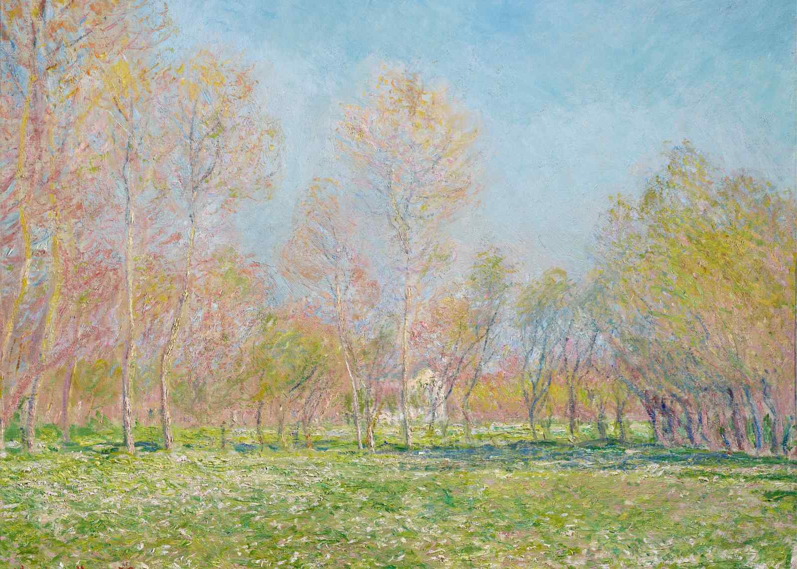 Impressionist Poplar Trees & Meadow Wall Art