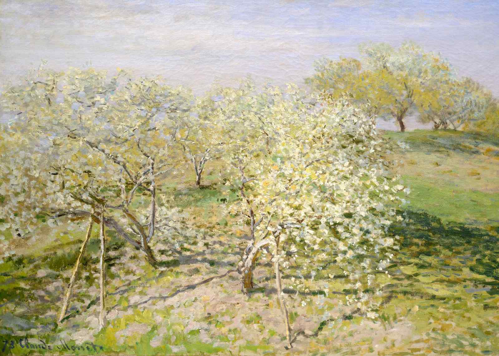 Spring Orchard Blossom Field Wall Art