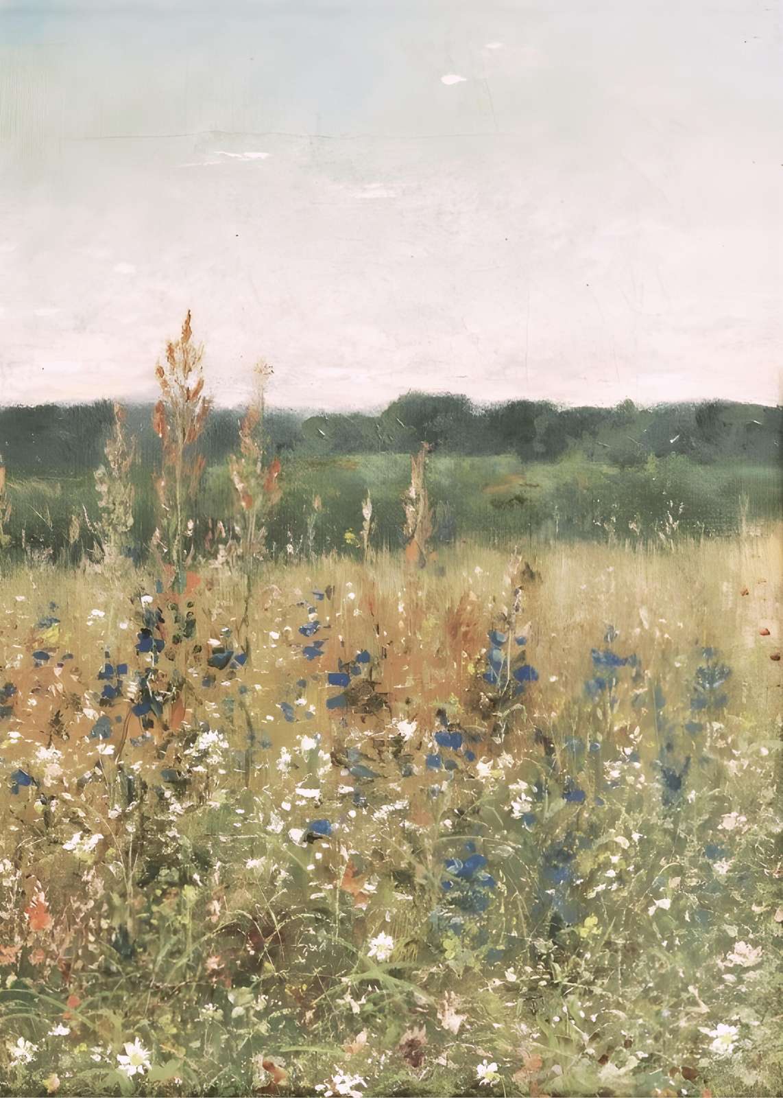 Serene Meadow Wildflowers Wall Art