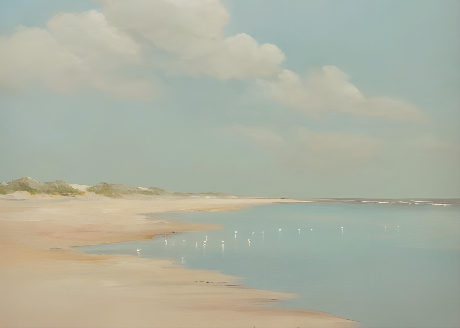 Tranquil Shoreline with Egrets Wall Art