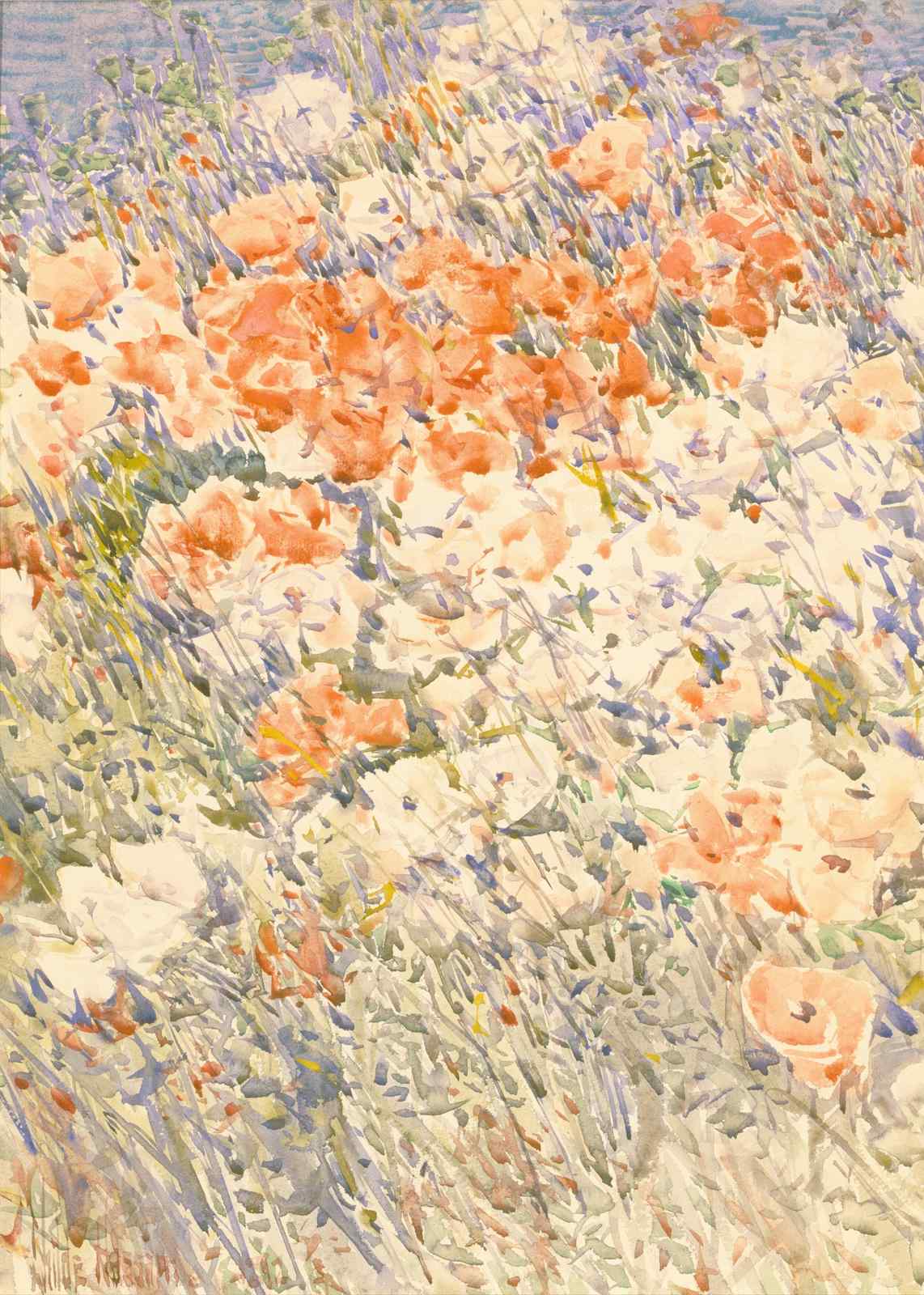 Vibrant Poppy Field Watercolor Wall Art