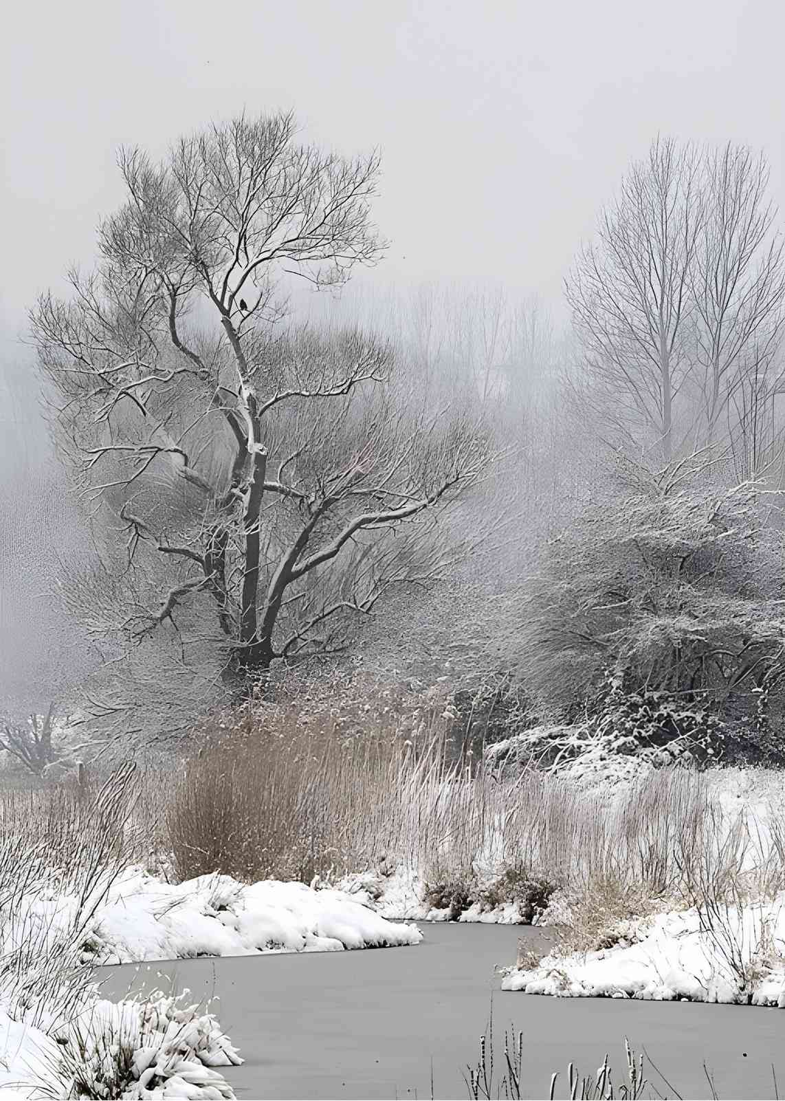Winter Serenity Tree Landscape Wall Art